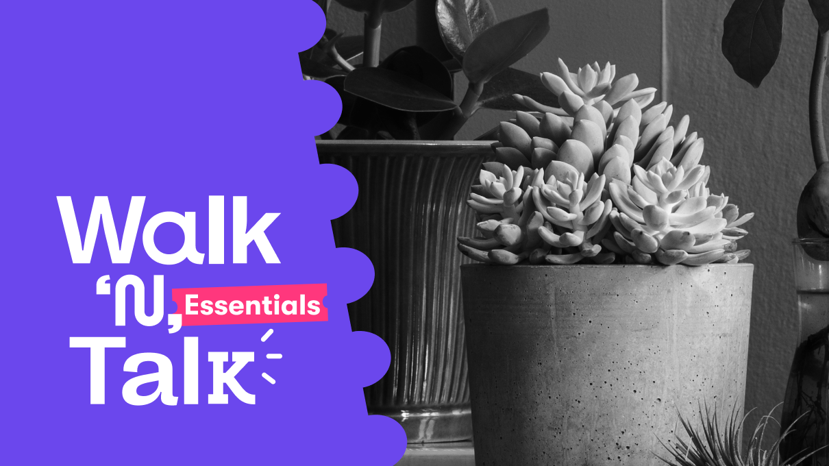 walk n talk 53 cuidando las plantas hablando sobre frecuencia